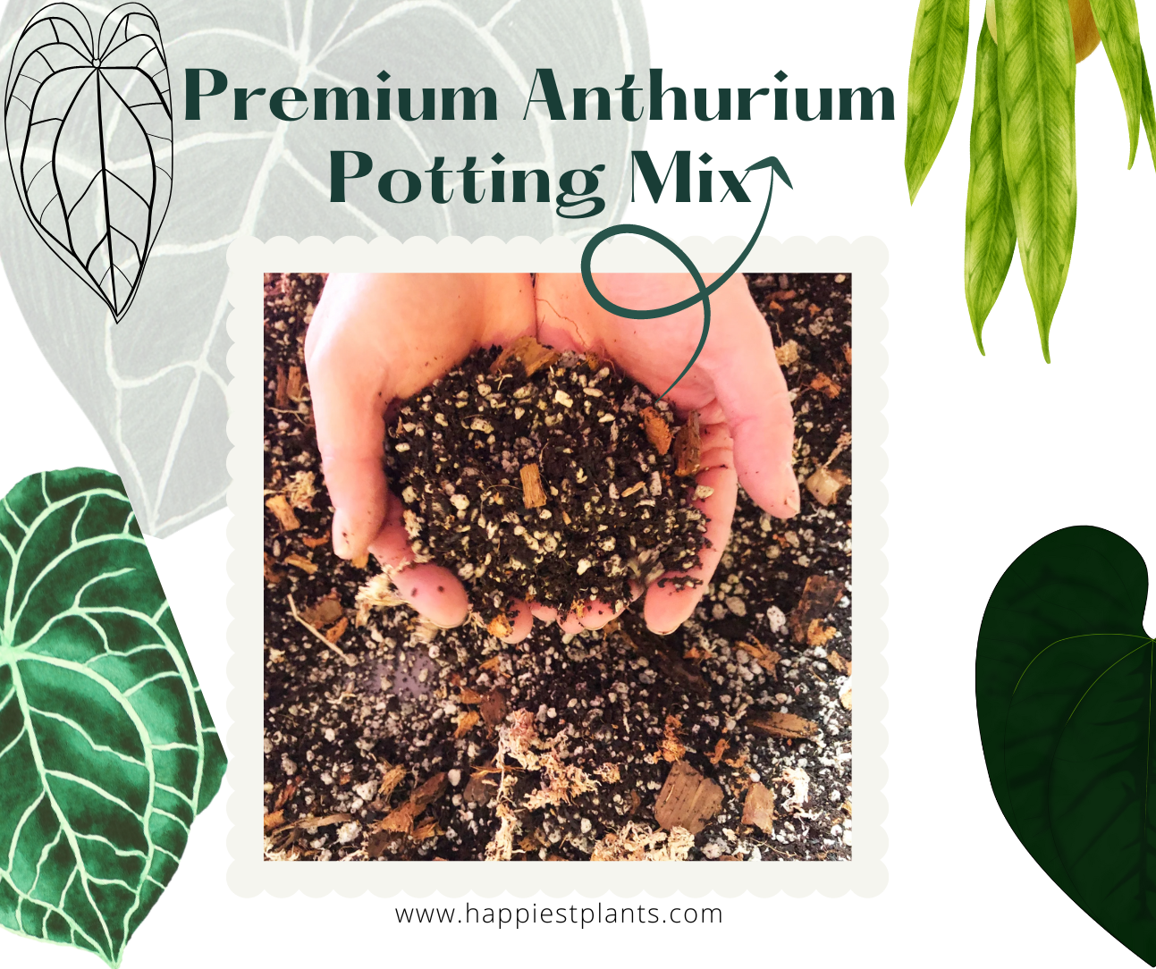 anthurium mix Anthurium Potting Mix – HappiestPlants