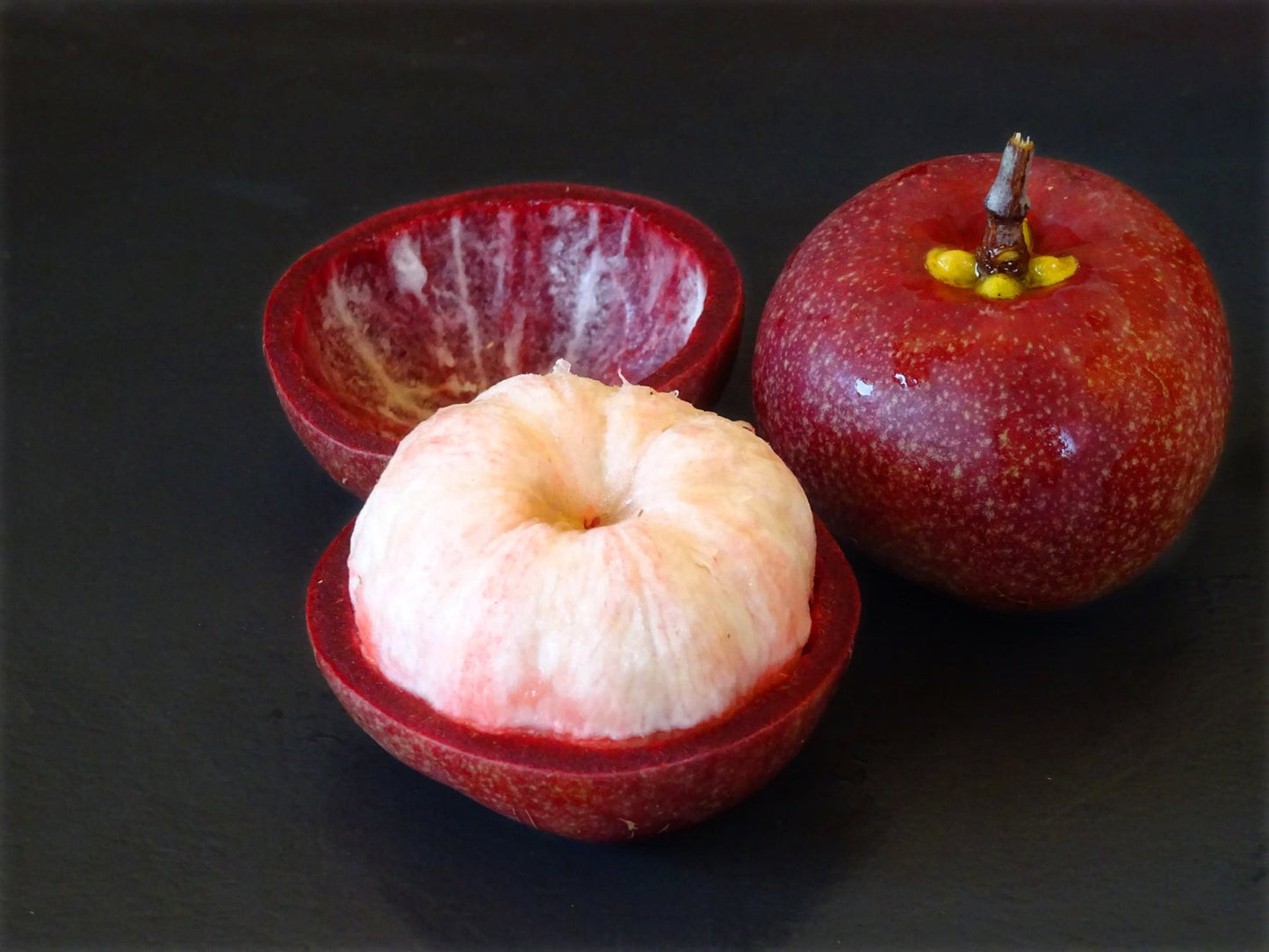 Sweet Kokum Fruit Live Plants in uk