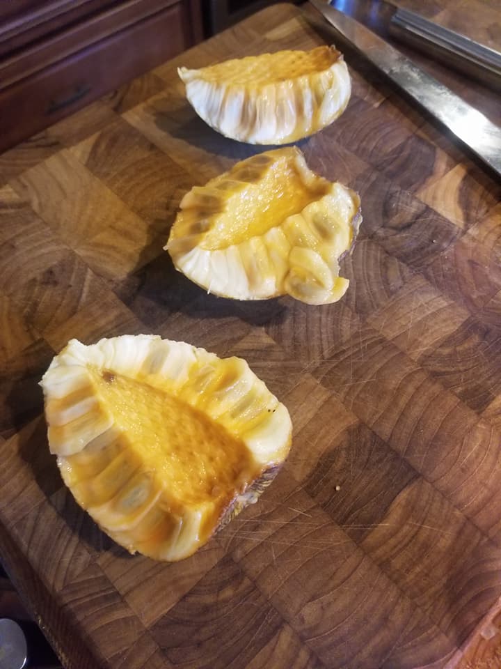 Best Pond apple Live Plants