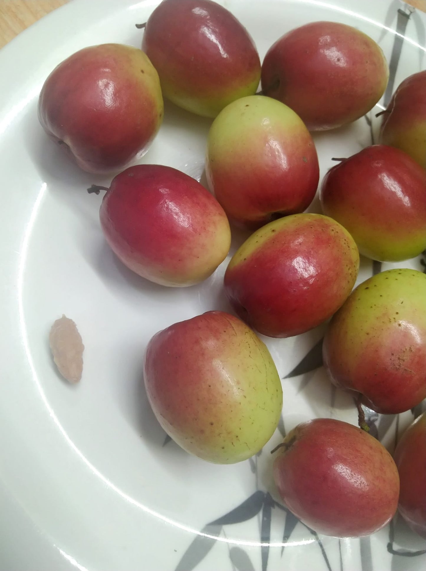 Apple Red Live Plants