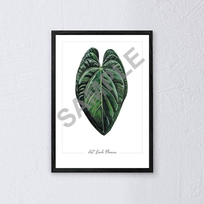 Anthurium ‘Dark Phoenix’ – Fine Art Watercolour Print