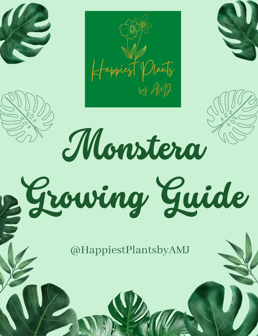 A-Z Growing Guide - Monstera
