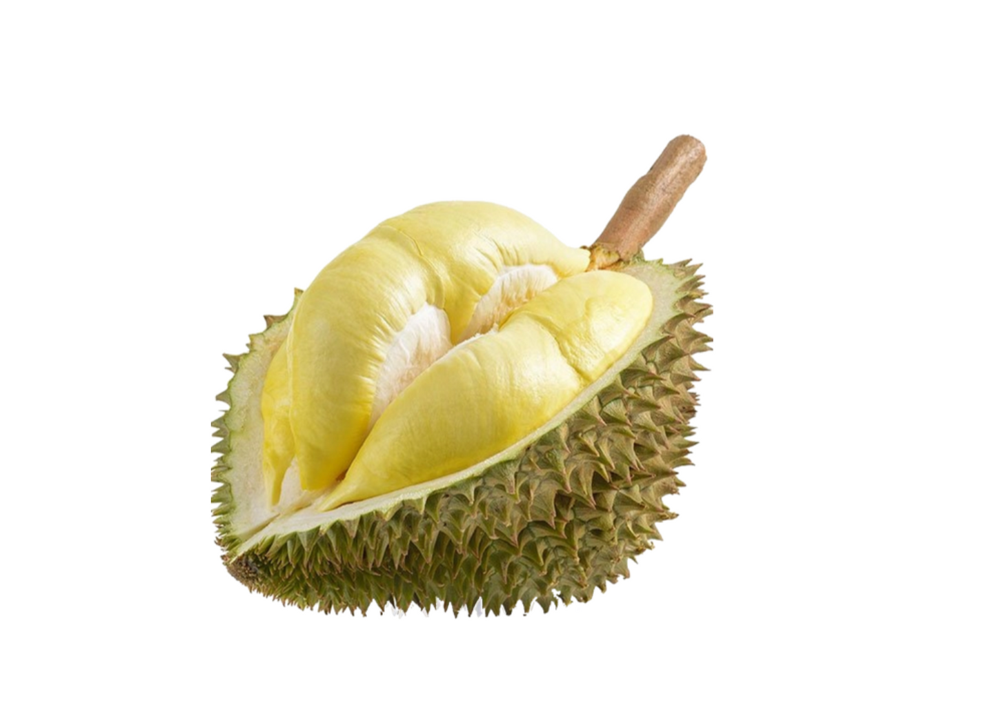 Durian - Monthong