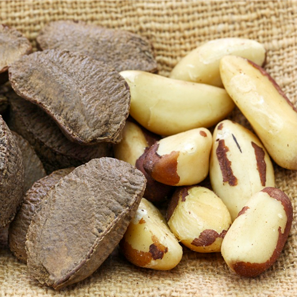 Best Brazil Nut