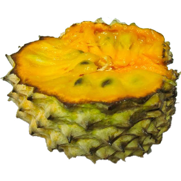 Annona Purpurea