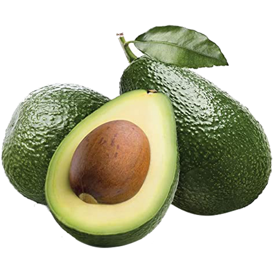 Avocado Fruit TKD1 Live Plants