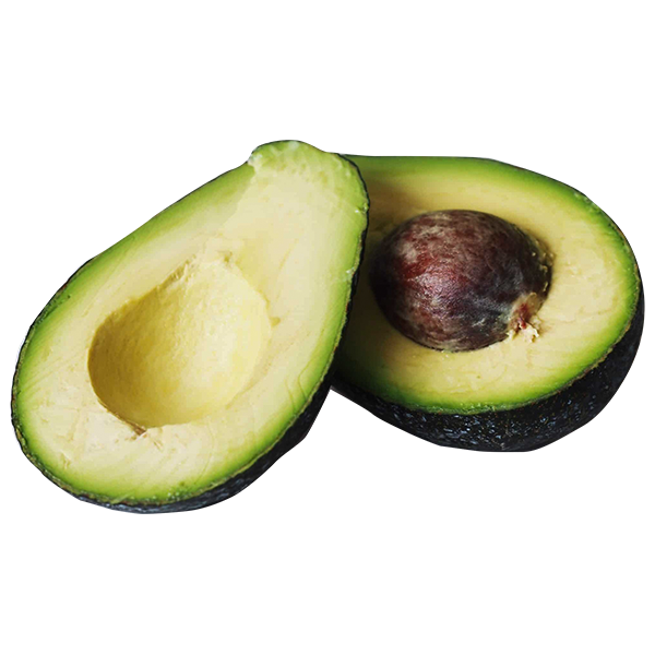 Best Avocado Fruit TKD1 Live Plants