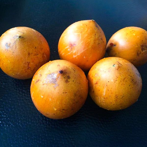 Udara Fruit