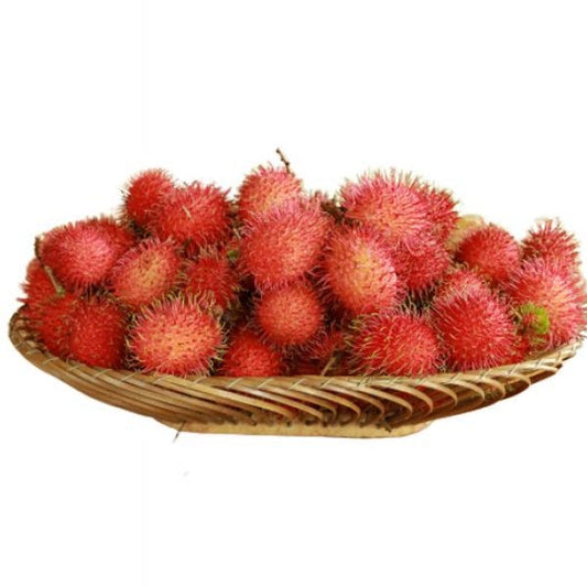 Rambutan Fruit Live Plants