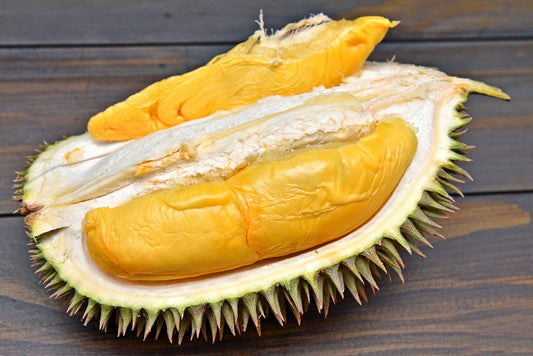 Durian Live Plants