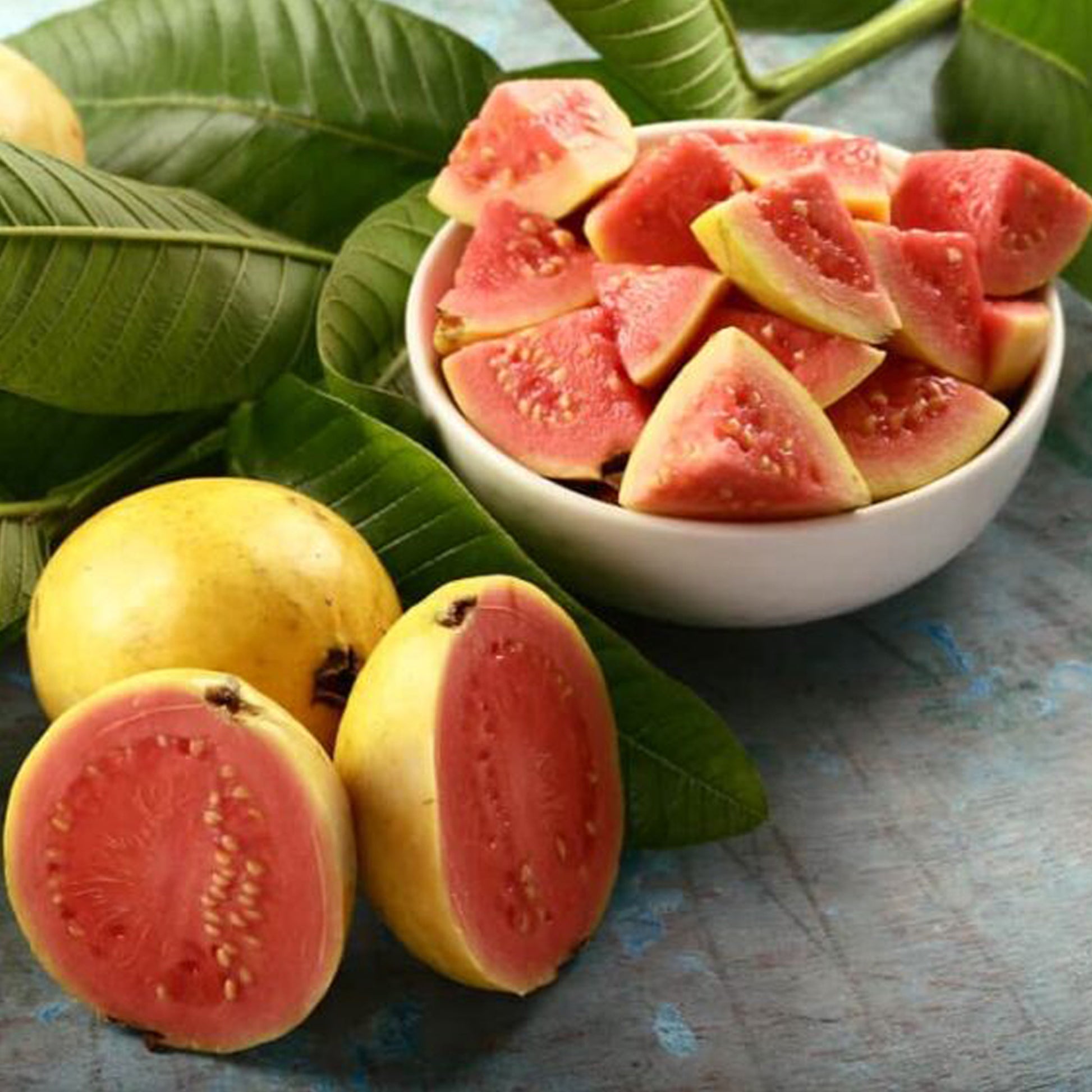 Buy Guava Live Plants UK